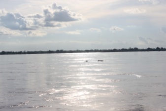 Our first dolphin sighting in Kratie
